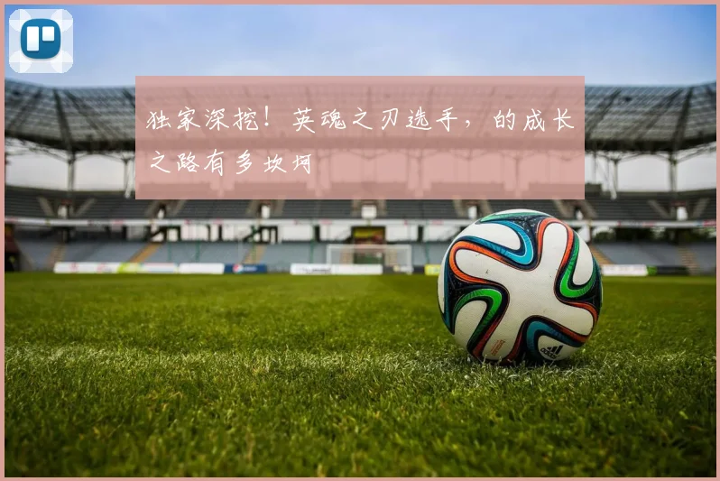 独家深挖!英魂之刃选手,的成长之路有多坎坷
